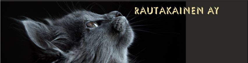 Rautakainen