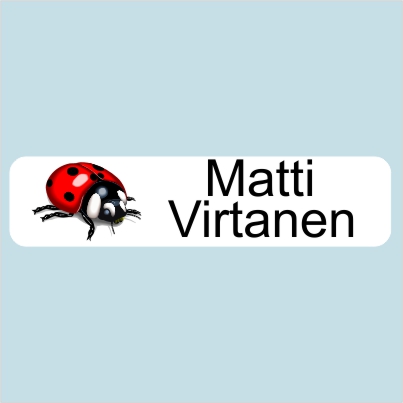 Rautakainen