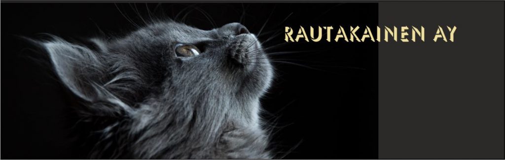 Rautakainen