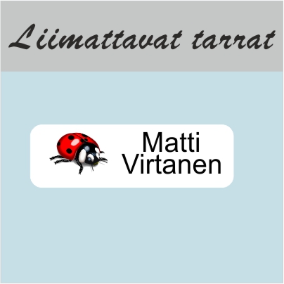 Rautakainen