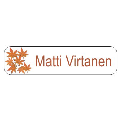 Rautakainen