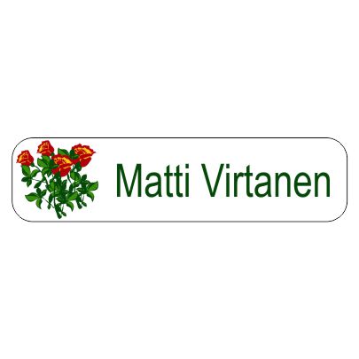 Rautakainen