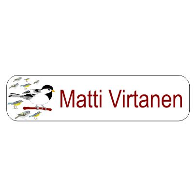 Rautakainen