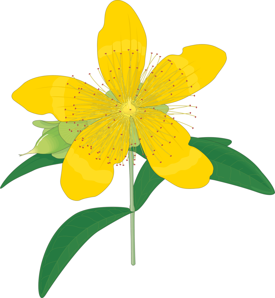 Rautakainen